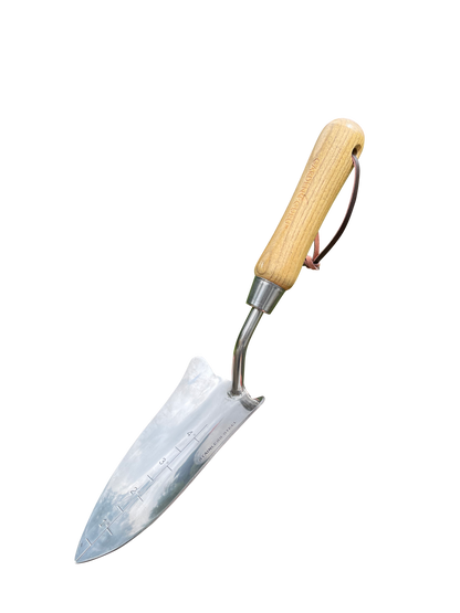 Transplanter (classic wood handle)